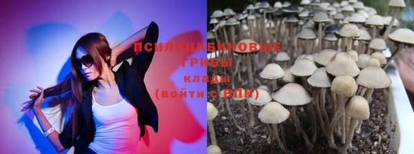 spice Алексеевка