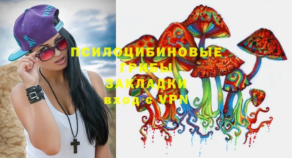 PSILOCYBIN Алексин