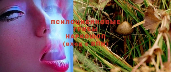 а пвп мука Алзамай