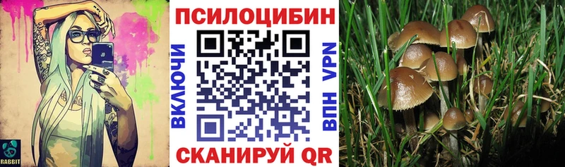 Галлюциногенные грибы ЛСД  Большой Камень 
