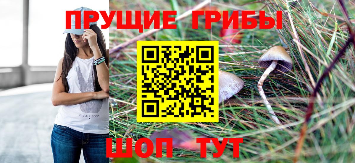 Галлюциногенные грибы Magic Shrooms Большой Камень